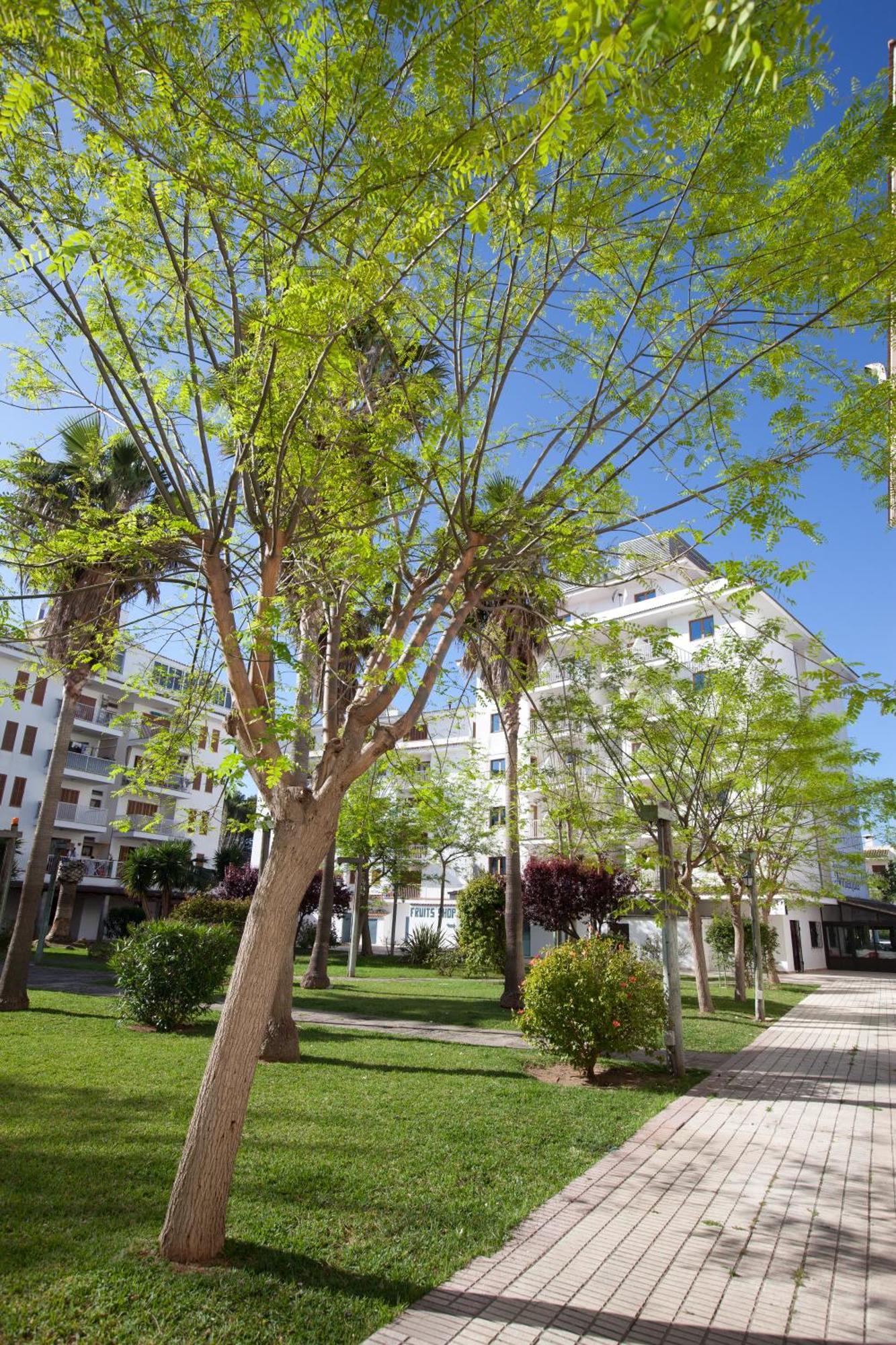 Aparthotel Ferrer Lime Tamarindos 3*